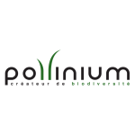 pollinium_square